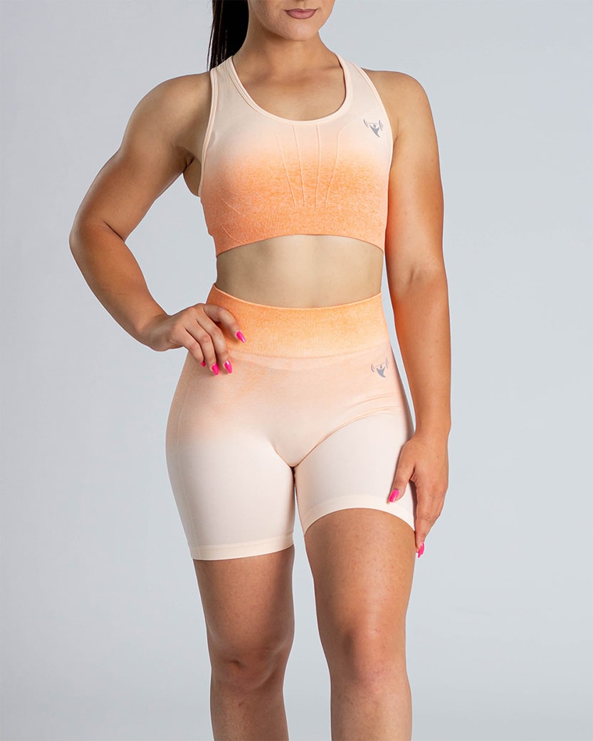 Advance Orange Ombre Seamless Sports Bra