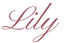 Shop Lily logo